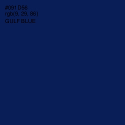 #091D56 - Gulf Blue Color Image